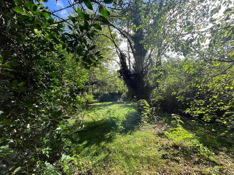 Maison - 106 m² - 4 pièces