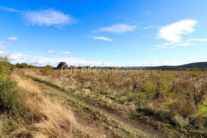 Terrain agricole - 23 150 m²