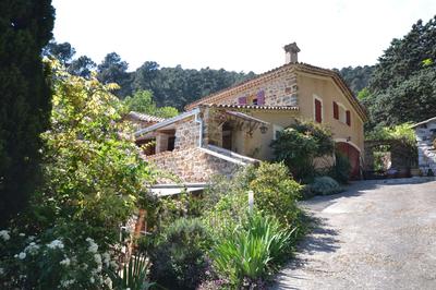 Maison en pierre - 279 m² - 11 pièces