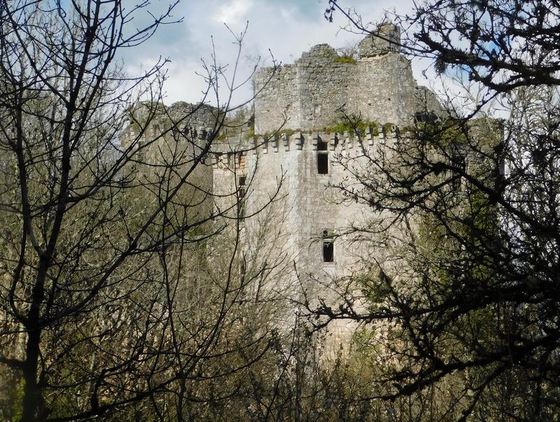 Visite guidée et fauconnerie - Châteaux en fête