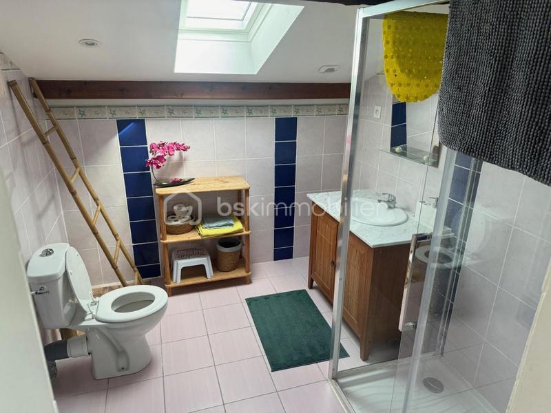 Maison en pierre - 322 m² - 10 pièces