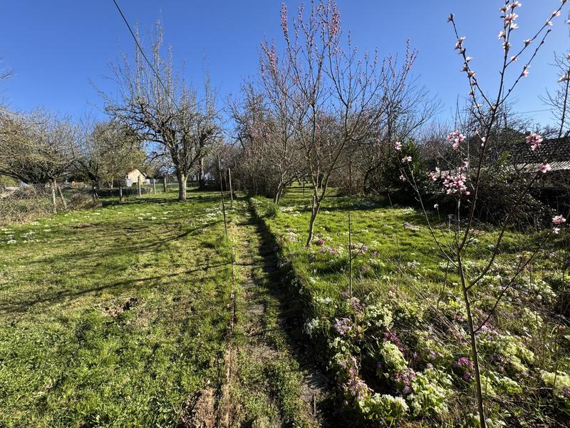 Ferme - 75 m² - 3 pièces