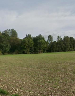 Terrain constructible - 439 m²