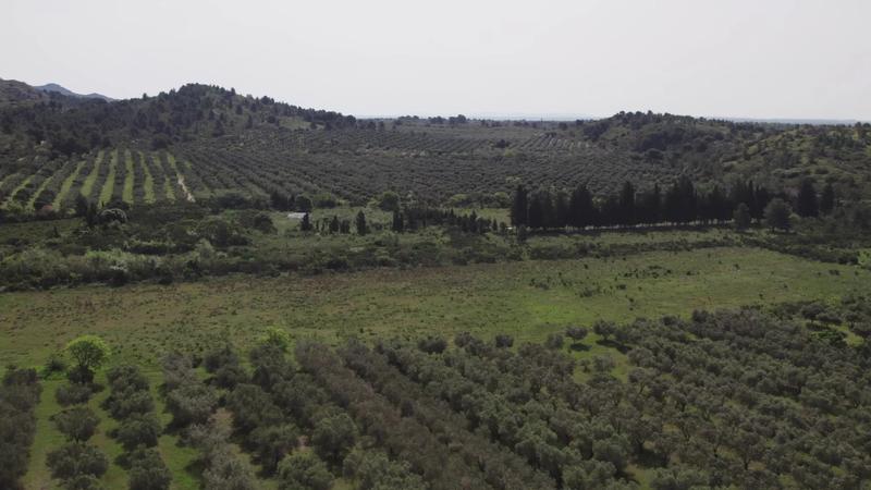 Propriété - 700 m²