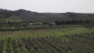 Propriété - 700 m²