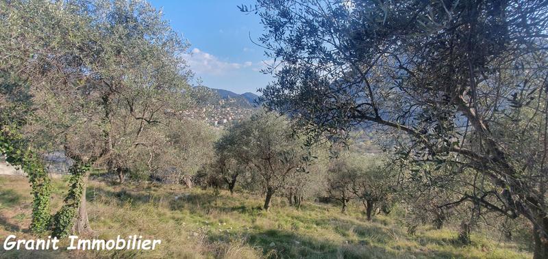 Terrain constructible - 1 503 m²