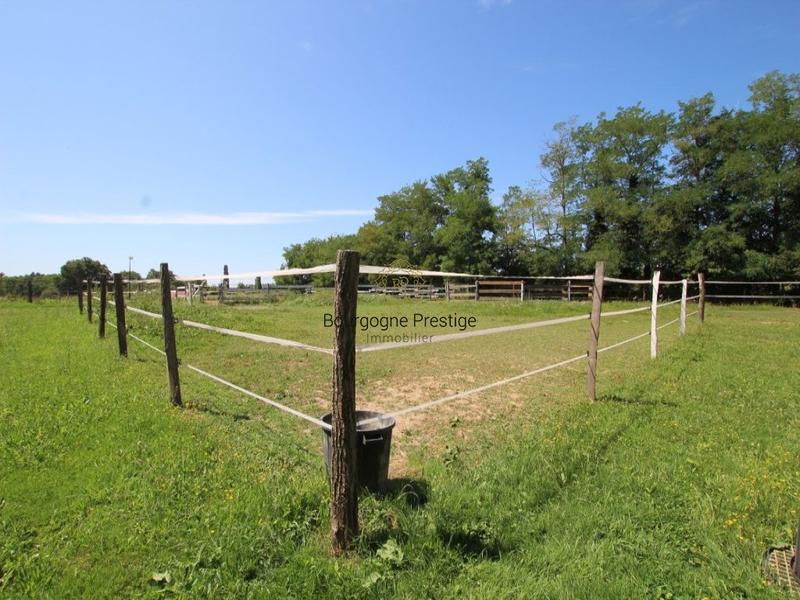 Propriété - 210 m² - 7 pièces