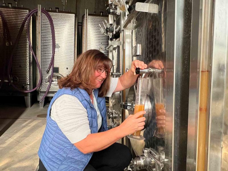 Visite de cave et dégustation au féminin - Domaine Gueth