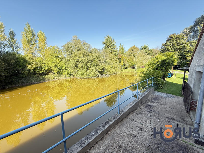 Viager - Maison ancienne - 180 m² - 5 pièces