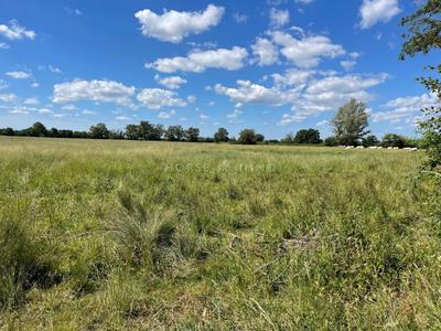 Terrain agricole - 113 100 m²