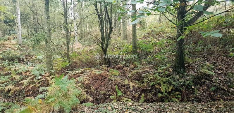 Terrain - 10 109 m²