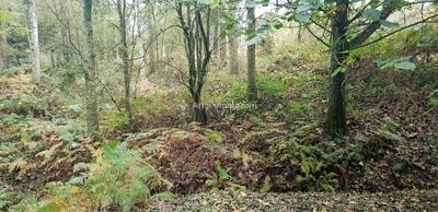 Terrain - 10 109 m²