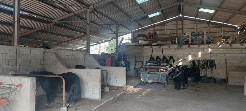 Propriété - 530 m² - 25 pièces