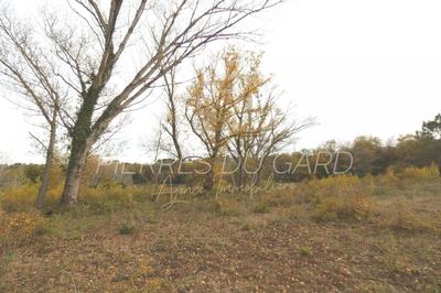 Terrain agricole - 15 624 m²