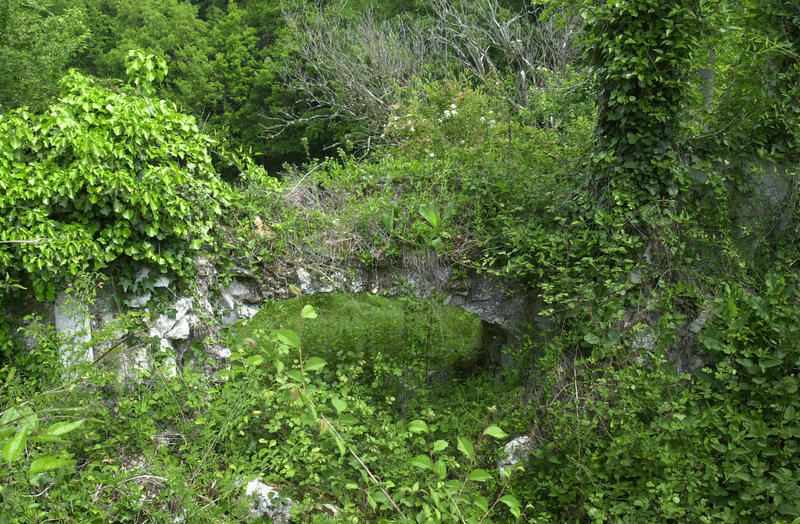 Terrain agricole - 220 000 m²