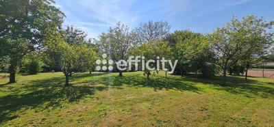 Demeure - 150 m² - 7 pièces