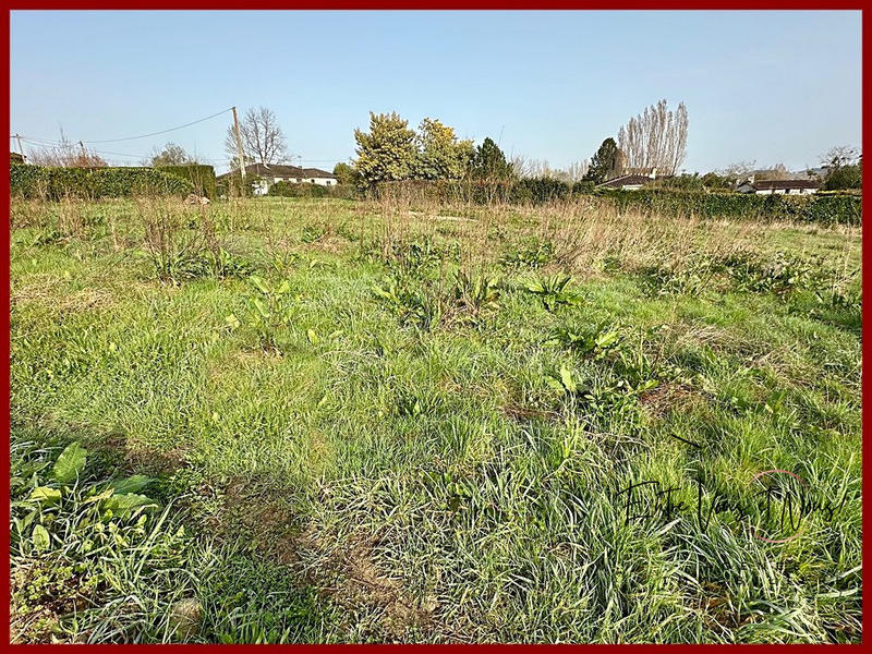 Terrain - 1 555 m²