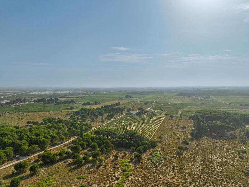 Maison - 214 m² - 5 pièces