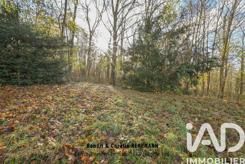 Maison de campagne - 160 m² - 6 pièces