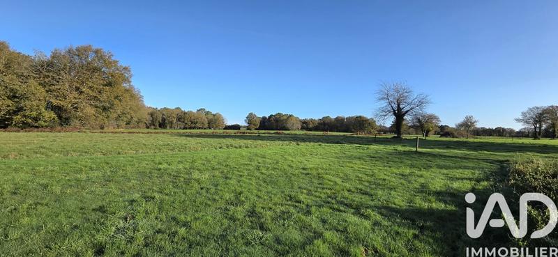 Maison de campagne - 80 m² - 5 pièces