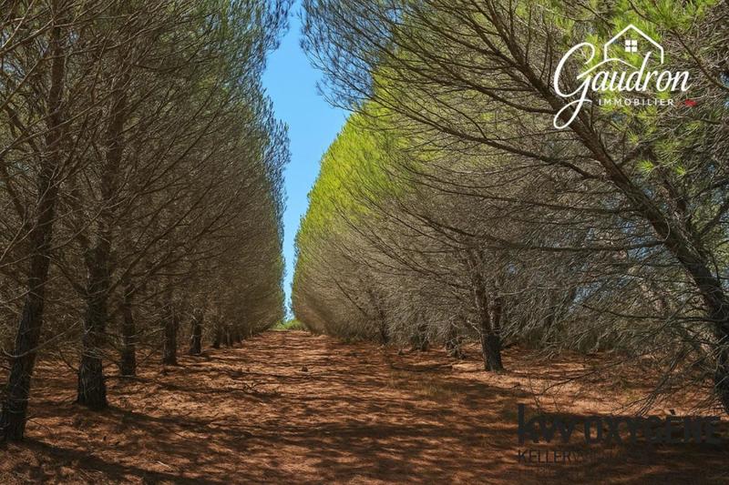 Terrain agricole - 6 070 m²