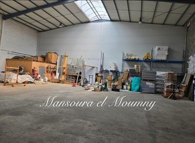 Bureau - 700 m² - 6 pièces