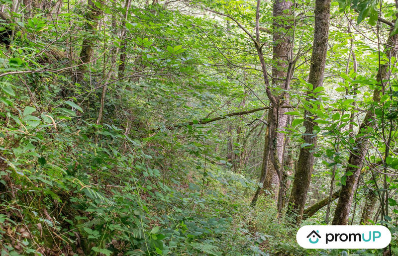 Terrain de loisirs - 5 300 m²