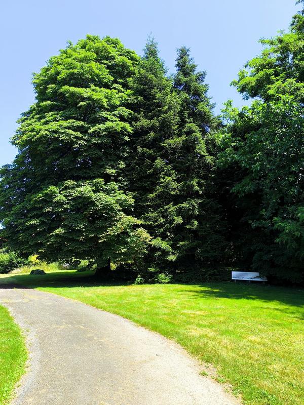 Maison - 146 m² - 5 pièces