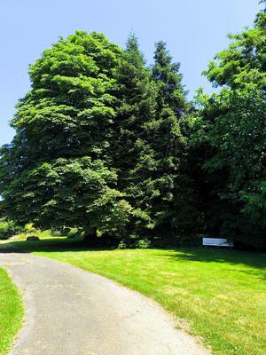 Maison - 146 m² - 5 pièces