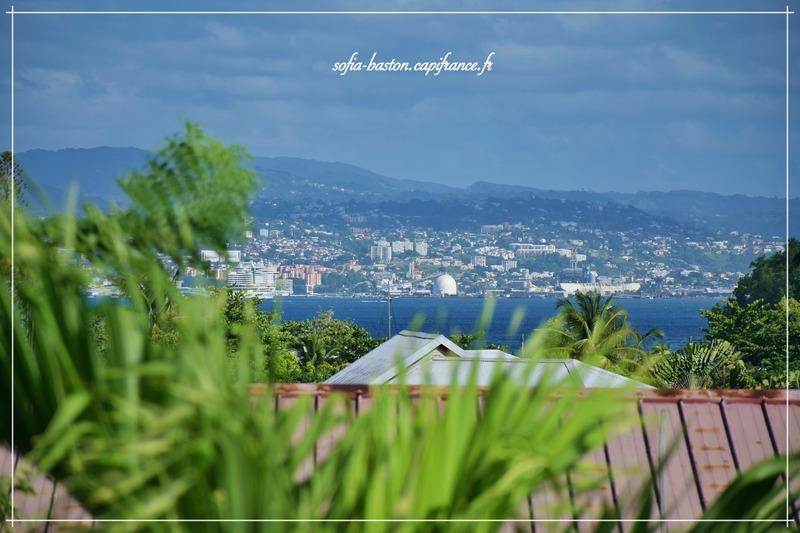 Appartement - 53 m² - 2 pièces