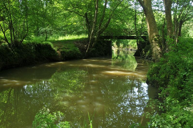 Randonnée accompagnée Capb : Bartas de l'Ardanavy