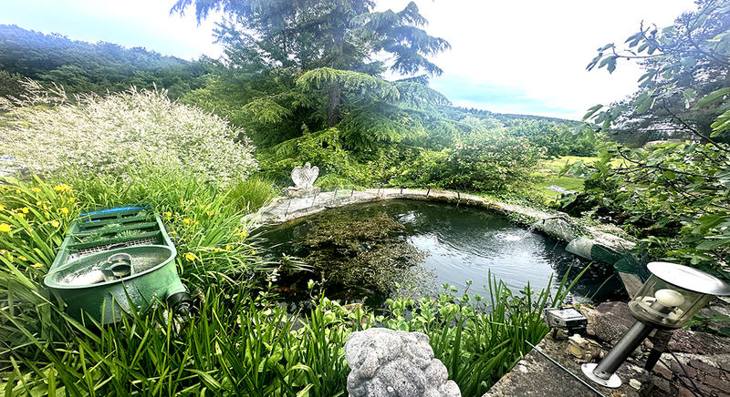 Maison de maîtres - 320 m² - 6 pièces