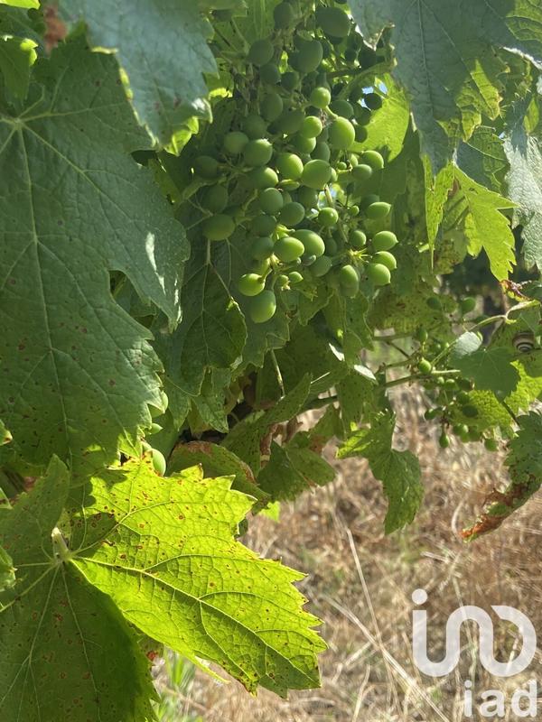 Terrain agricole - 52 610 m²