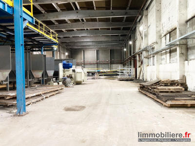 Entrepôt - 7 176 m²