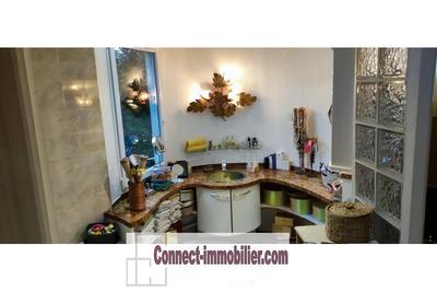 Château - 244 m² - 9 pièces