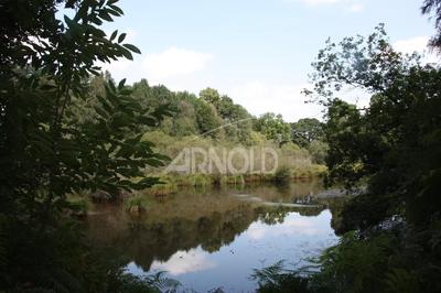 Moulin - 250 m² - 5 pièces