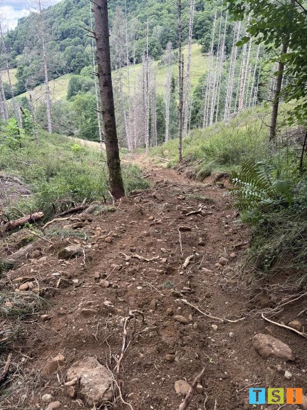 Maison - 25 m² - 1 pièce