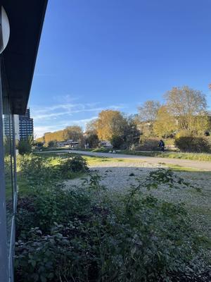 Local commercial - 73 m²