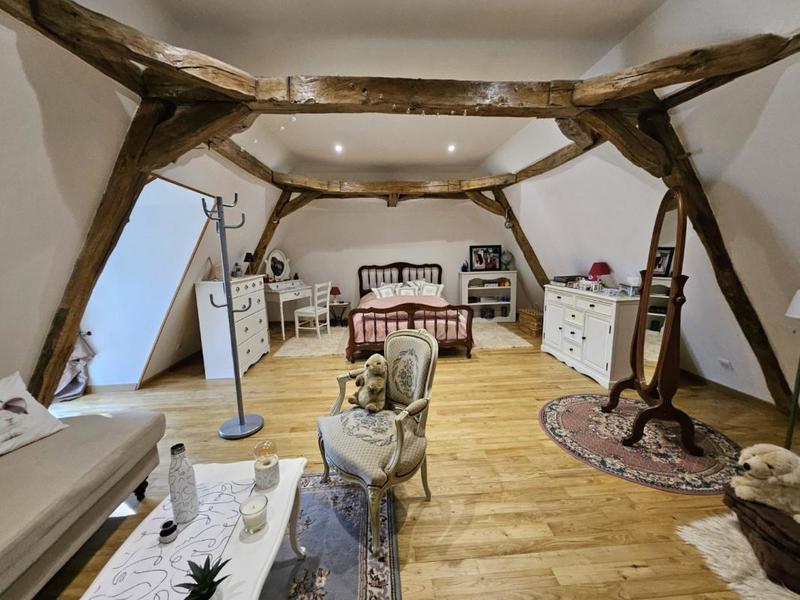 Château - 350 m² - 10 pièces