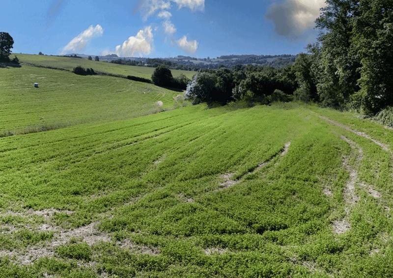 Terrain constructible - 1 294 m²