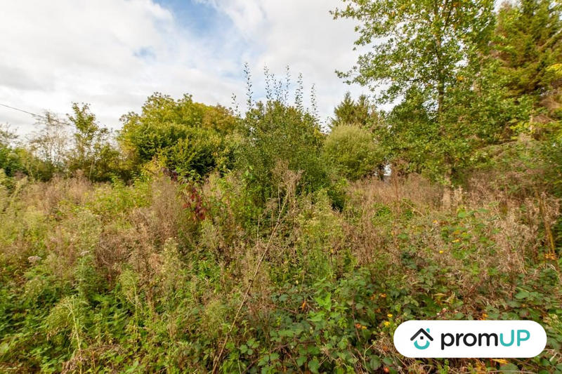 Terrain de loisirs - 1 600 m²