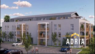 Appartement - 45 m² - 2 pièces