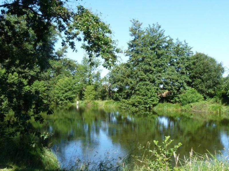 Sortie Natura 2000 "Les 4 Fantastiques" : Visite de l'étang de Berdassit