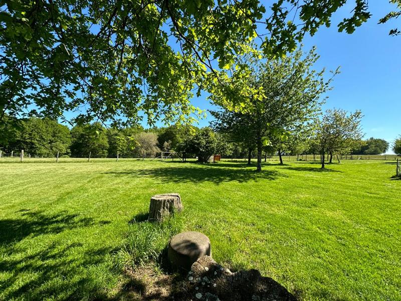 Maison - 230 m² - 9 pièces