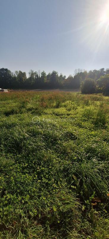 Terrain constructible - 1 237 m²