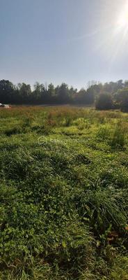 Terrain constructible - 1 237 m²