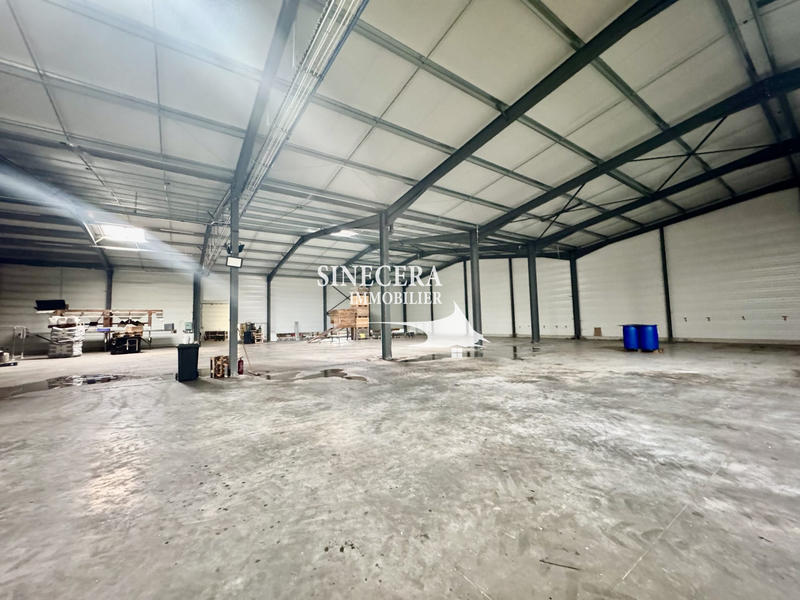 Local commercial - 10 102 m²