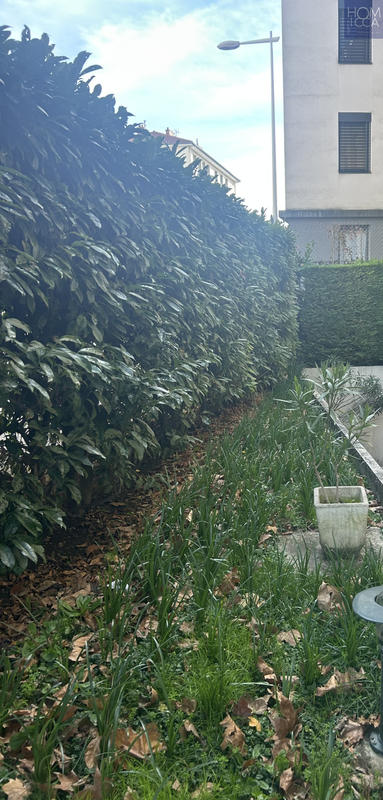 Duplex - 60 m² - 3 pièces