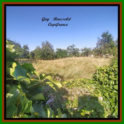 Terrain constructible - 1 293 m²