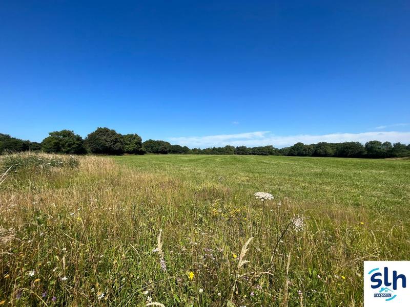 Terrain constructible - 595 m²